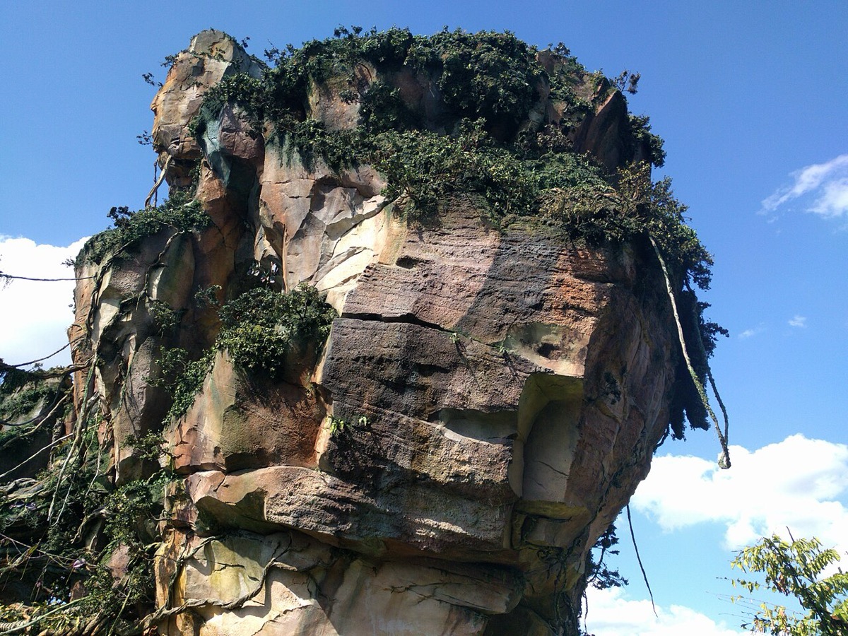 a vine-draped floating mountain at Pandora – The World of Avatar, the film's Disney park land