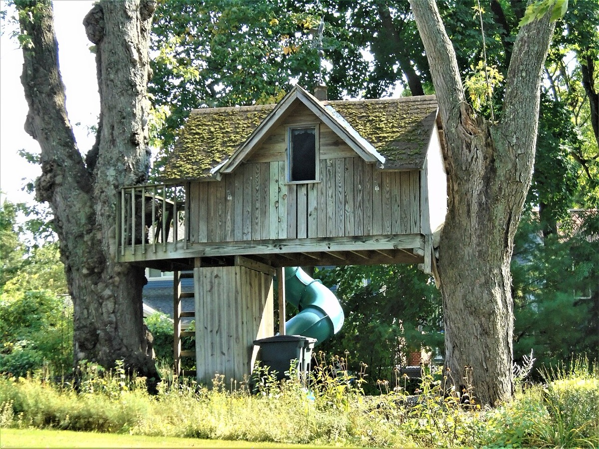 A weathered wooden backyard tree house built high between two large trees, with a green spiral slide