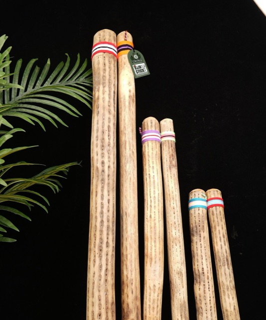 Cactus rain sticks in several sizes standing in a display, the kind sold at The Nature Company and Natural Wonders